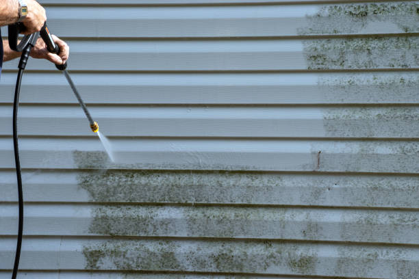 Best Stucco Siding  in Morongo Valley, CA